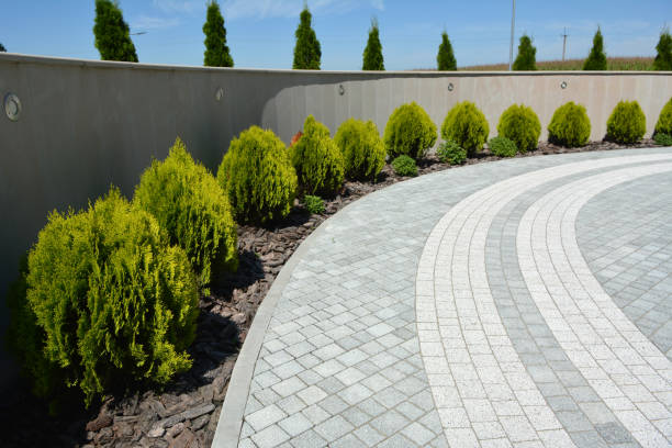 Best Driveway Paving Contractor  in Linntown, PA